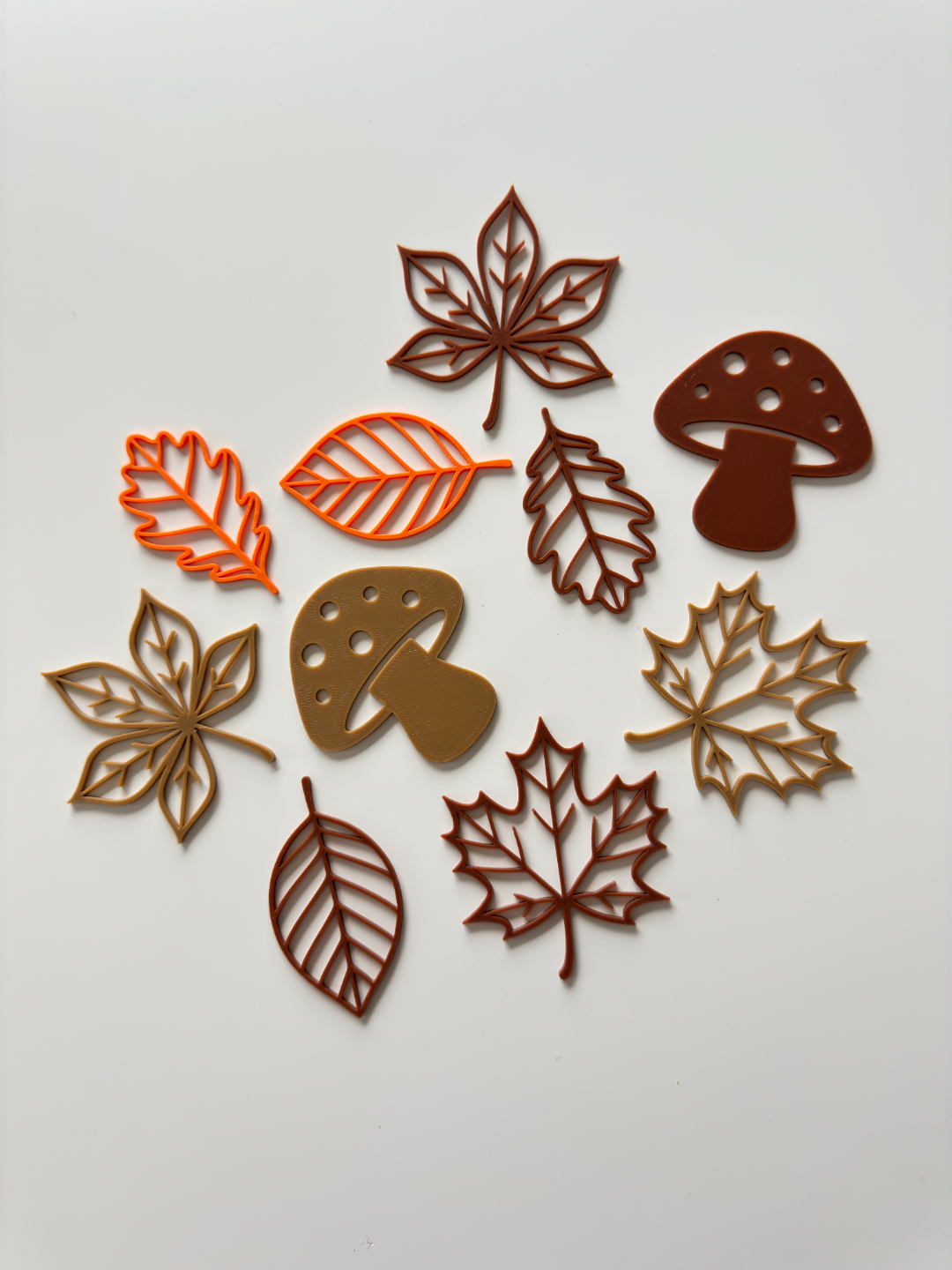 Forêt d’automne