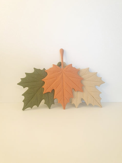 Feuille d’érable